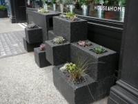 Concrete Stones with Flowers Inside